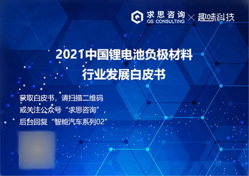 求思咨詢與趣味科技聯(lián)合發(fā)布《2024年鋰電池負(fù)極材料技術(shù)白皮書》 技術(shù)演進(jìn)與產(chǎn)業(yè)變革深度解析